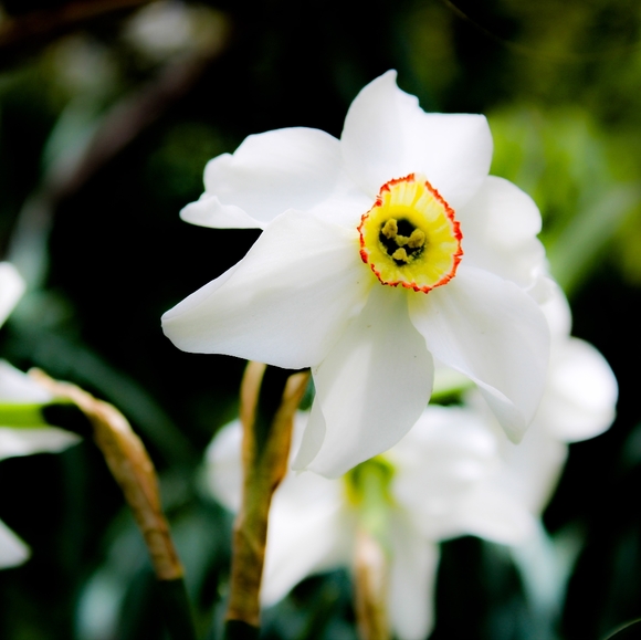 Wall Decor - Picture 5 of 16